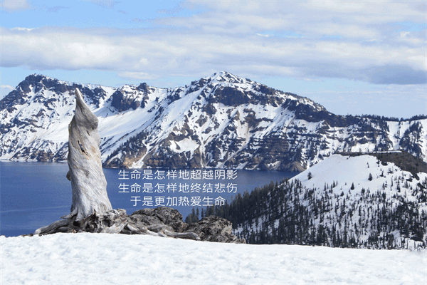 一句名言的启示作文 压抑和心累的朋友圈说说心情